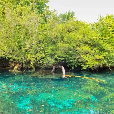Parc écologique Indigenous Eyes avec un étant d'eau turquoise et une végétation luxuriante