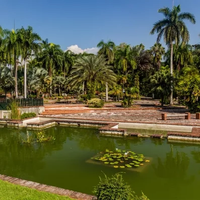 jardin botanique à Saint domingue avec un bassin et de nombreux palmiers