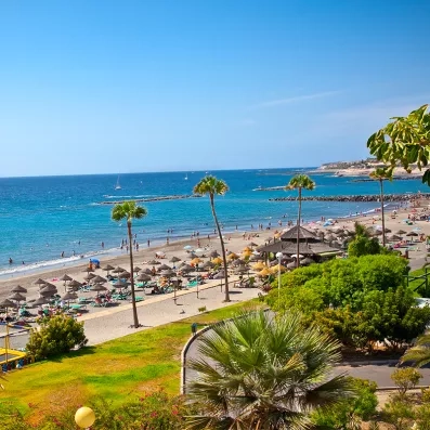 Plage de Playa de las Américas à Tenerife, transats, palmiers, baignade et ambiance balnéaire sur la côte sud de l’île.