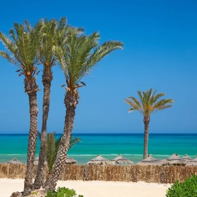 Plage de Djerba en Tunisie avec palmiers et mer turquoise, destination phare pour des vacances soleil et détente