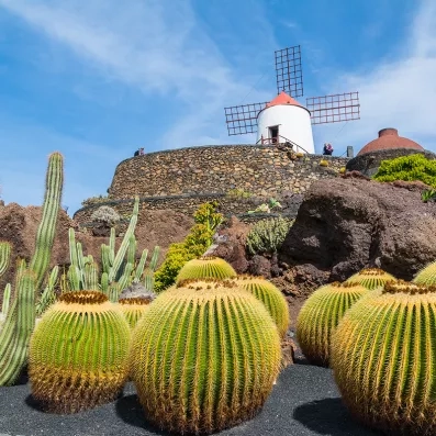 Jardin de Cactus à Lanzarote avec cactus géants et ancien moulin à vent, paysage volcanique et ciel bleu des Canaries.