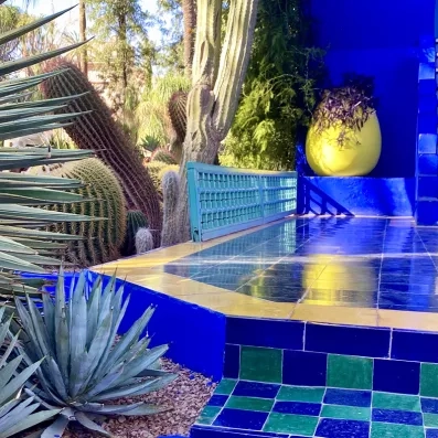 Détail des jardins Majorelle à Marrakech, bassins colorés, plantes tropicales et architecture emblématique du Maroc.