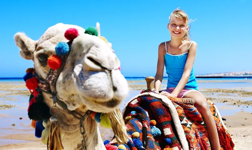 Balade à dos de dromadaire avec enfants au Maroc, activité ludique en famille sur la plage
