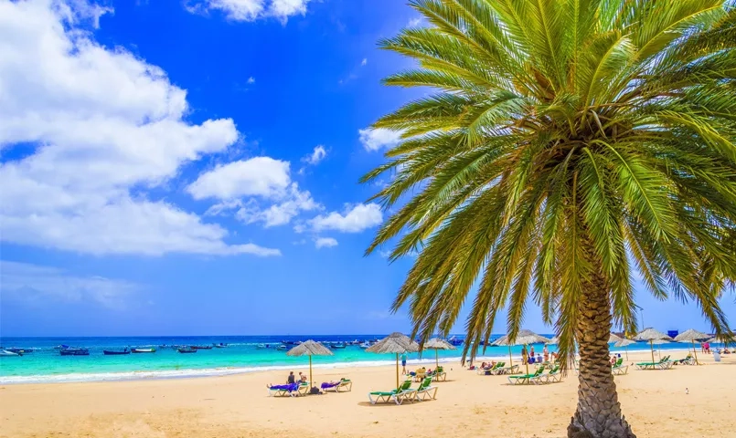 Plage tropicale à Tenerife avec palmiers, transats et eau turquoise sous un ciel bleu, illustration du climat ensoleillé des Canaries.