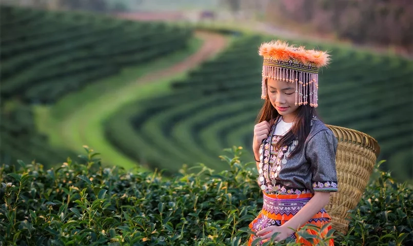 Femme thaïlandaise dans une rizière portant un habit traditionnel