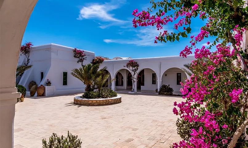 Patio à Djerba avec un arbre en fleur